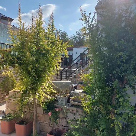 Avalon Village Limassol