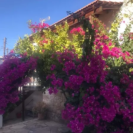 Gasthof Avalon Village 3*